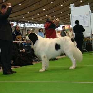 Stuttgart 2007 088.jpg