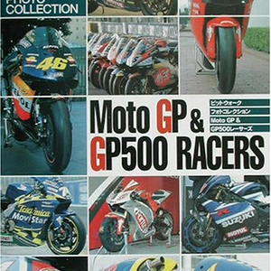pitwalkmoto1.jpg