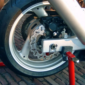 cat 019.jpg