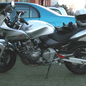 hornet01.jpg