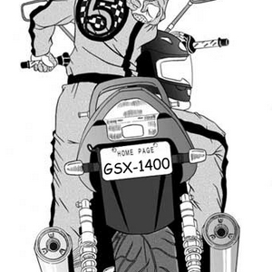 gsx14.jpg
