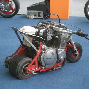 brute mini.jpg