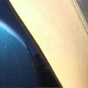 DSCF8308.jpg