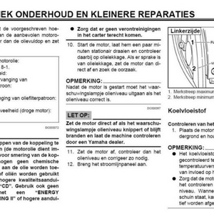 olieR6.JPG
