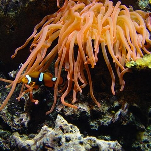 DSC00027.1.JPG