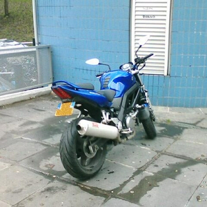 IMG017.JPG
