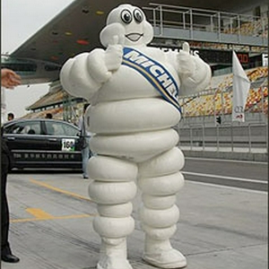 michelin.jpg