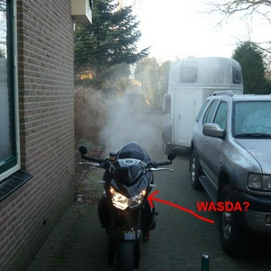 vinniv2.JPG