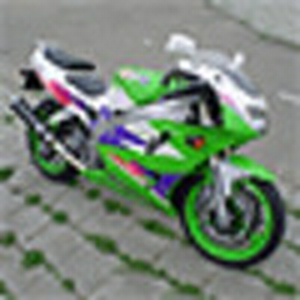 avatarkopie.gif