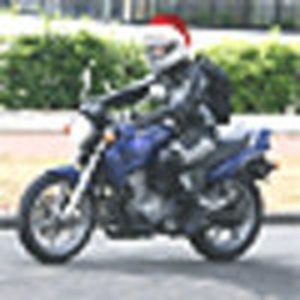 irene-kerst.gif