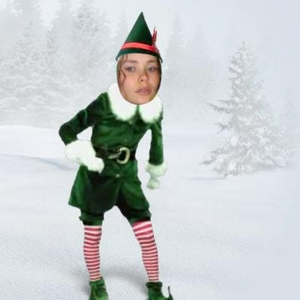 DG-elf.JPG