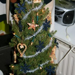 kerstboom.jpg