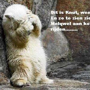 Knuffelbeer_van_Du_180705a.jpg