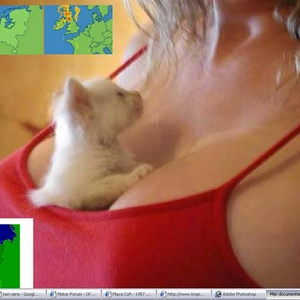 !cid_image001x