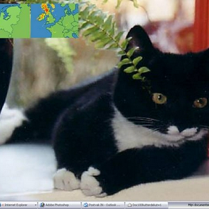 !cid_image001nu