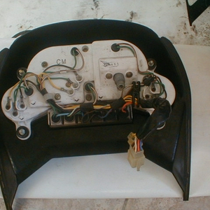 P1110003.JPG