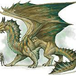 bronze-dragon.jpg