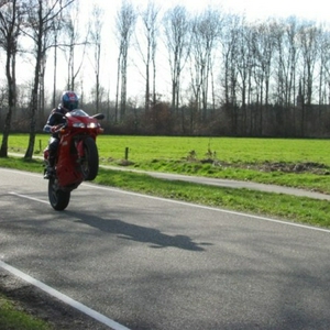wheely's 023 small.jpg