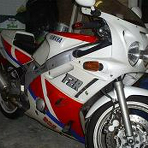 FZR600