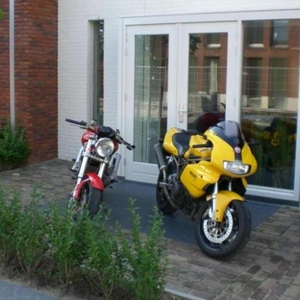 Ducjes.JPG