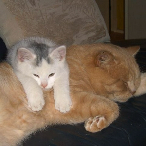 CAM_2774.JPG