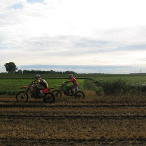 crossen met wuppie kx 023.jpg