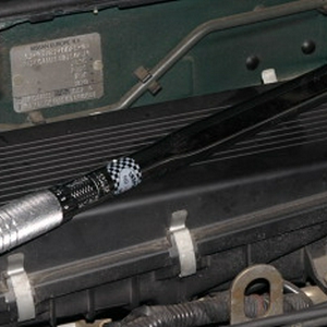 CRW_0437.JPG