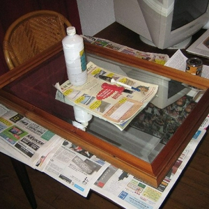 Medium_IMG_5772.jpg