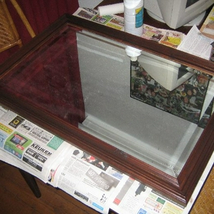 Medium_IMG_5778.jpg