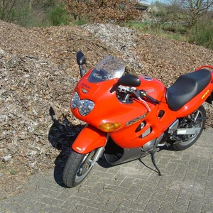 DSC01537.JPG