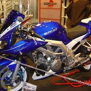 DSC00485.JPG
