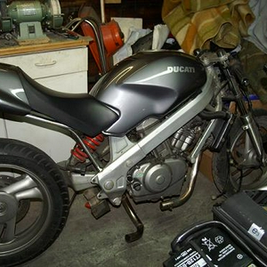 ducNtv.JPG