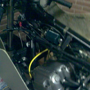 Afb309.jpg