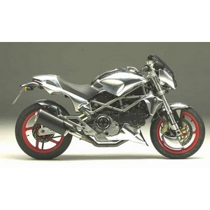 duc monster.jpg