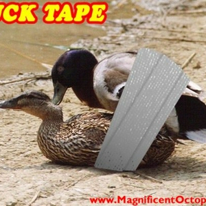 ducktape.jpg