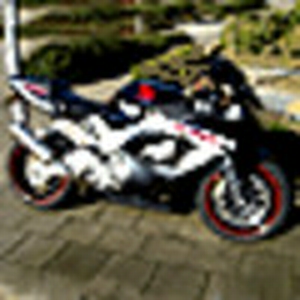 avatar-o3.gif