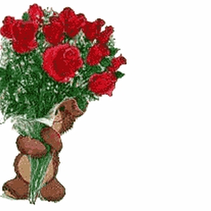 gefeliciteerd3.gif
