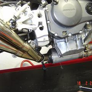 cbruitl3.jpg