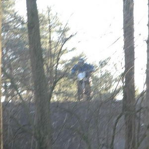 hoeve3.JPG