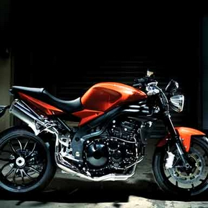 Speedtriple_gallery_pop_2_2008A.jpg