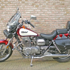 Rebel2008klein.jpg