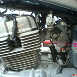 dsc02079zv1.jpg