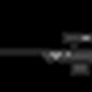 rifle.gif