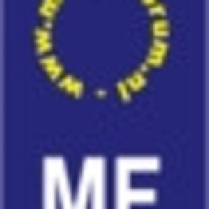 mf-sticker-fin-ietsminderlelijk.gif