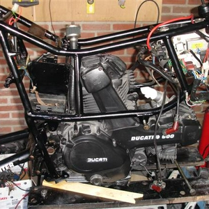weeeeeer 005 (Small).jpg