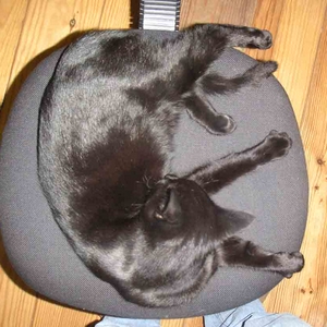 103.jpg
