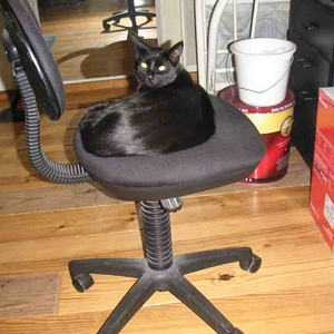 104.jpg