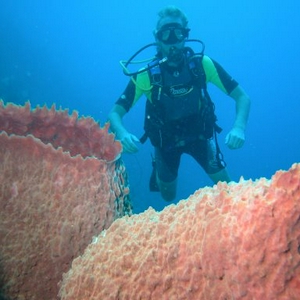 20080301 pund, bas 007.jpg