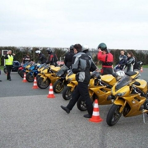 daytonas.jpg