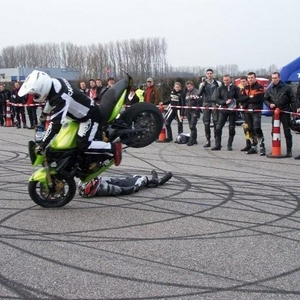 Triumph stunt.jpg